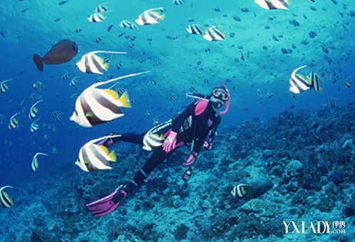 俩姐妹马尔代夫溺亡消息引关注 盘点海里游泳有哪些安全注意事项