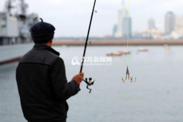 青岛市民钓鱼不用饵一天钓到40多斤鱼 大量的鱼“心甘情愿”被钓上岸