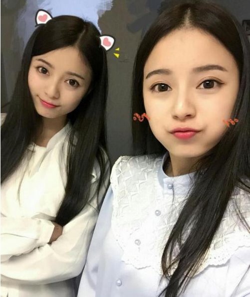 双胞胎姐妹走红网络 网友称被两姐妹的美貌与智慧所征服