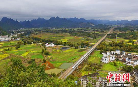 广西铁路沿线环境整治效果显乘高铁如在田园画中游