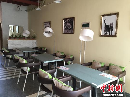哈尔滨现宠物主题餐厅为宠物准备就餐区 宠物可与主人共同用餐