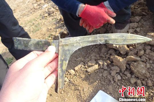 河南周口出土2000多年前青铜剑 仍寒光逼人