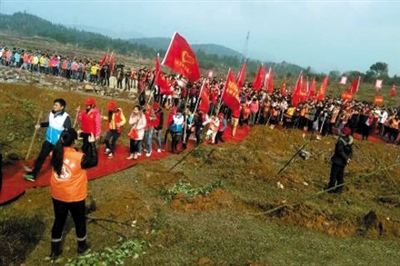 湖南官员踩红地毯植树 网友直呼:岂能如此任性? 