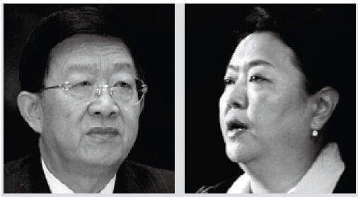 媒体盘点“大老虎的夫人们”：以夫之名都干了啥