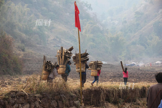 果敢难民给中国农民砍甘蔗维生