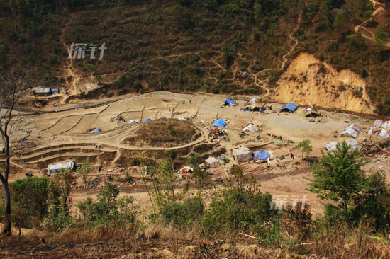 果敢难民给中国农民砍甘蔗维生
