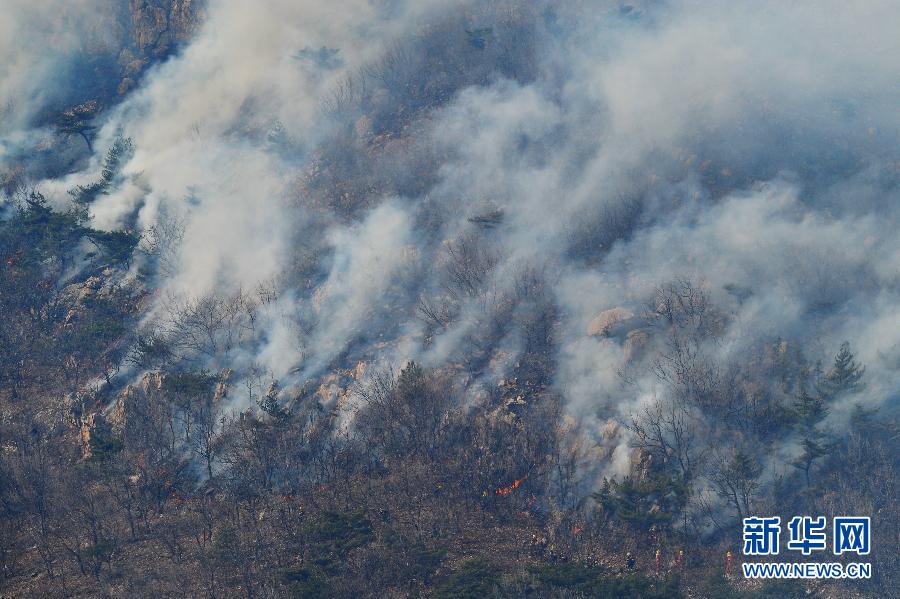 大连大黑山突发山火 消防部门全力灭火