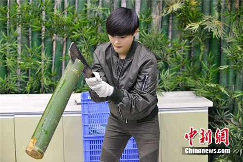 户外真人秀屡遭质疑：虐待动物？劣迹艺人？
