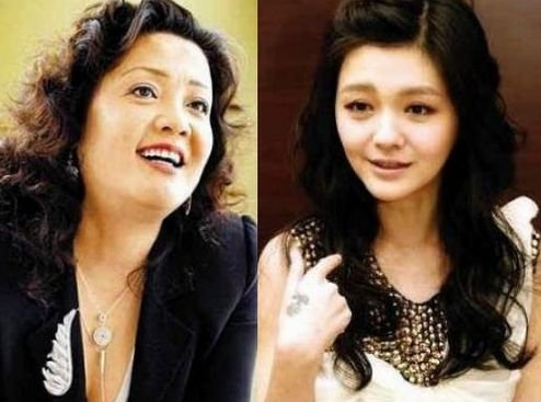 网曝大S复出赚钱养家 汪小菲开精品旅馆