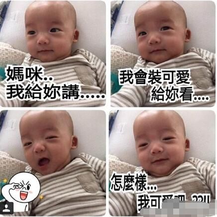 范玮琪