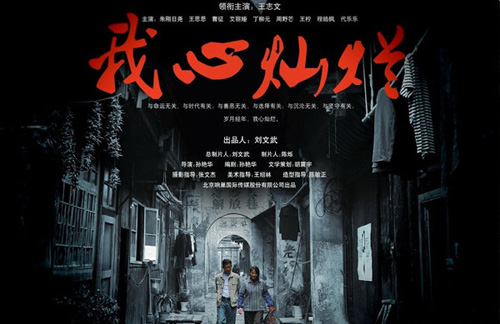 电视剧我心灿烂演员表剧情介绍 王志文丁柳元主演