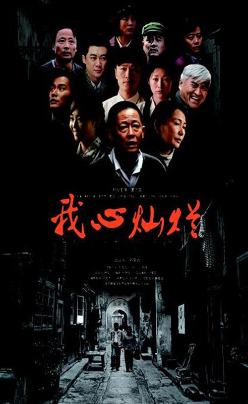 电视剧我心灿烂演员表剧情介绍 王志文丁柳元主演