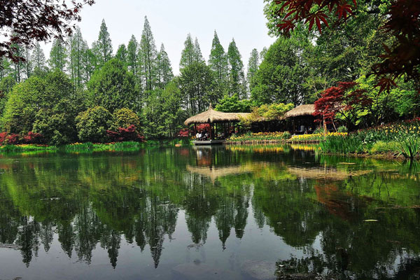 去中国空气最好的地方旅行 蜜月也要清新宜人