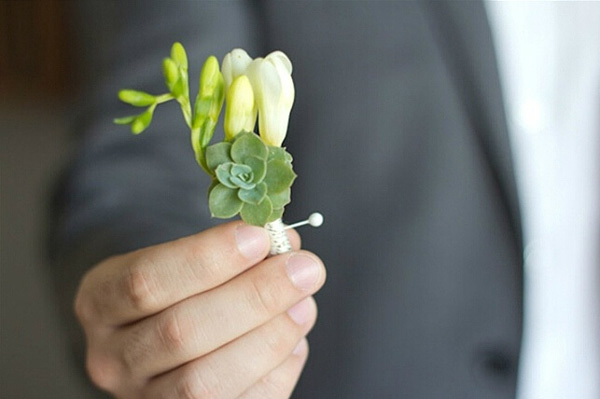 DIY多肉植物胸花 尽情体验创意无限
