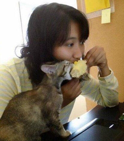 吃货喵星人的搞笑图片 真拿这小东西没办法