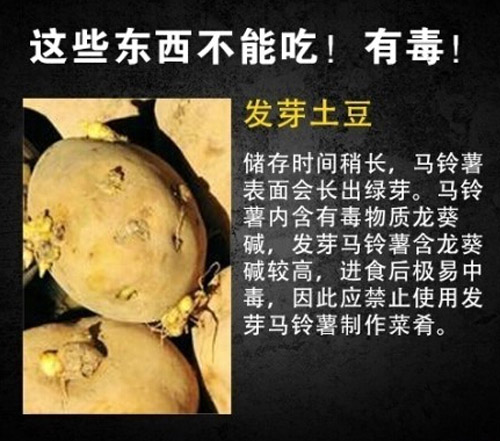 常见九种有毒食物 注意这些东西不能吃